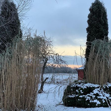 Villa Maria Garden Cottages, Helsingborg Dış mekan fotoğraf