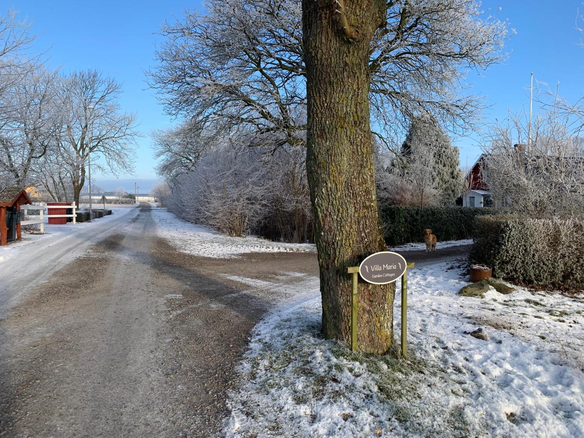 Villa Maria Garden Cottages, Helsingborg Dış mekan fotoğraf