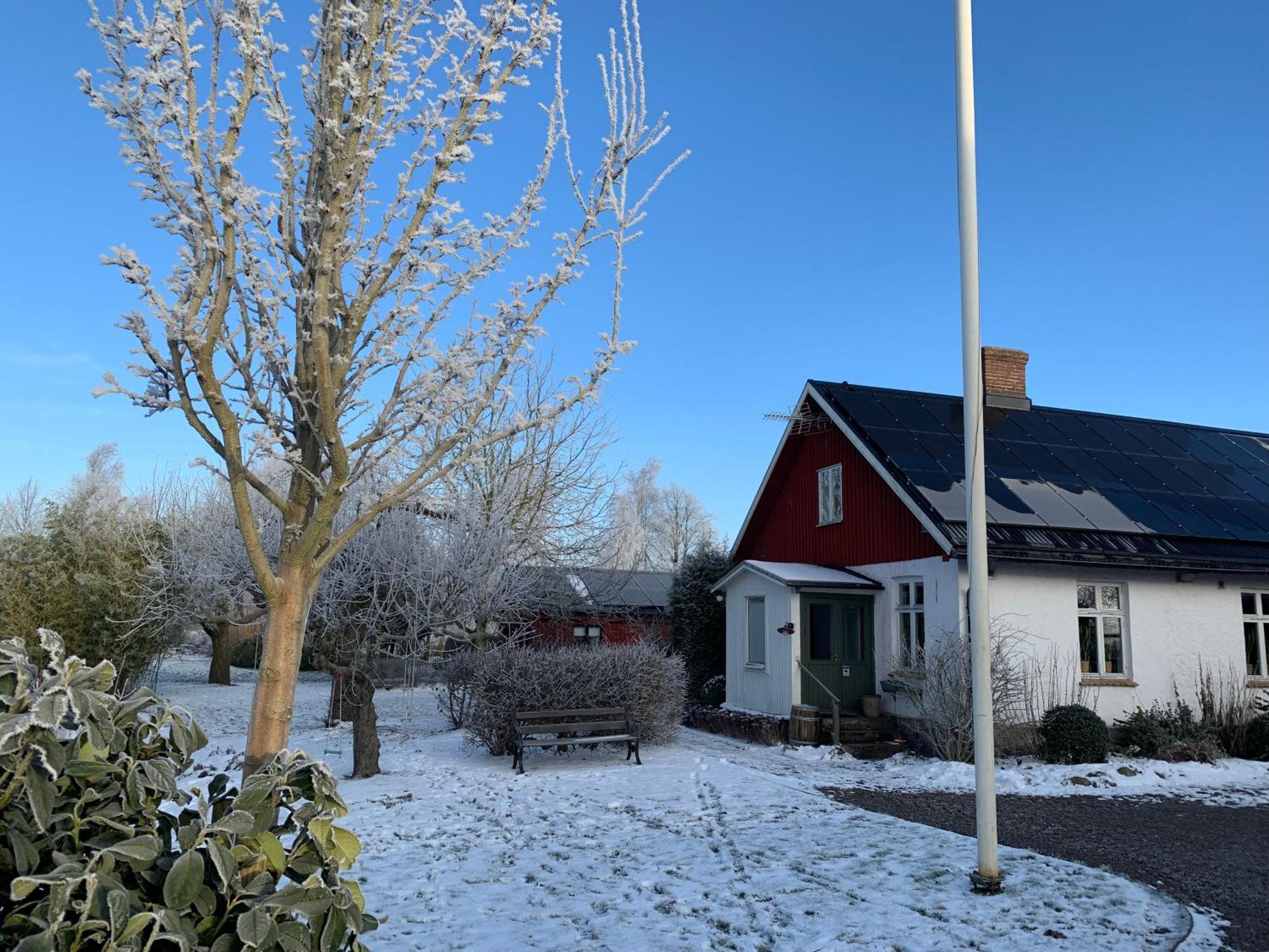 Villa Maria Garden Cottages, Helsingborg Dış mekan fotoğraf